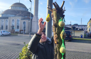 Minik öğrenciler kuşlar için yem astı