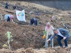 Avrupa Denizlililer Derneği 5 bin fidanı toprakla buluşturdu