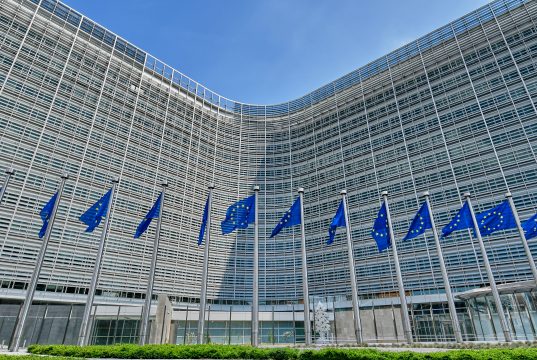 AB’den Rusya kaynaklı hibrit tehditlere karşı yeni güvenlik mekanizması önerisi Brüksel'deki Avrupa Komisyonu Berlaymont binası önünde Avrupa Birliği bayrakları